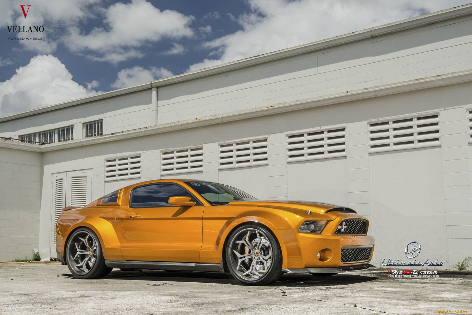 ford mustang gt, , mustang, ford, gt, shelby, gt500, , , , , 